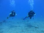 Hawaii Scuba divng 20