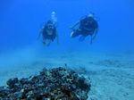 Hawaii Scuba divng 21