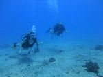 Hawaii Scuba divng 22