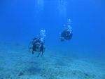 Hawaii Scuba divng 23