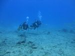 Hawaii Scuba divng 24