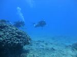 Hawaii Scuba divng 25