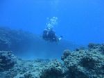 Hawaii Scuba divng 34