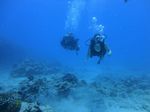 Hawaii Scuba divng 35