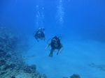 Hawaii Scuba divng 36