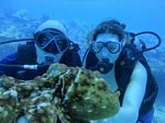 Hawaii Scuba divng 39