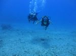 Hawaii Scuba divng 43