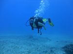 Hawaii Scuba divng 45