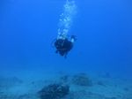 Hawaii Scuba divng 46