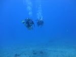 Hawaii Scuba divng 47