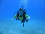 Hawaii Scuba divng 52