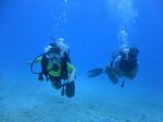 Hawaii Scuba divng 53