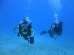 Hawaii Scuba divng 53