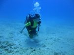 Hawaii Scuba divng 54