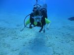 Hawaii Scuba divng 56