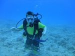 Hawaii Scuba divng 60