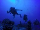 Hawaii Scuba divng 11