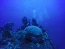 Hawaii Scuba divng 26