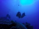 Hawaii Scuba divng 28