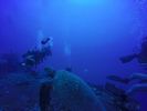 Hawaii Scuba divng 29