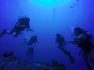 Hawaii Scuba divng 31