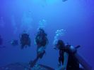 Hawaii Scuba divng 35