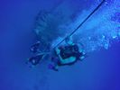 Hawaii Scuba divng 39