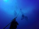 Hawaii Scuba divng 03