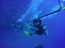 Hawaii Scuba divng 40