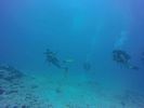 Hawaii Scuba divng 43