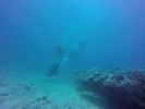 Hawaii Scuba divng 44