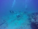 Hawaii Scuba divng 49