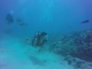 Hawaii Scuba divng 51