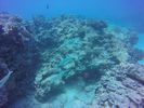 Hawaii Scuba divng 53