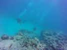 Hawaii Scuba divng 54