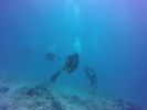 Hawaii Scuba divng 59