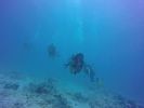 Hawaii Scuba divng 60