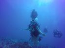 Hawaii Scuba divng 65