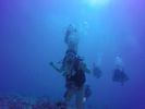 Hawaii Scuba divng 66