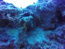 Hawaii Scuba divng 67