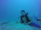 Hawaii Scuba divng 71