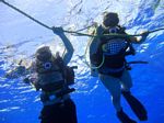 Hawaii Scuba divng 11