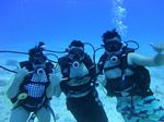 Hawaii Scuba divng 15