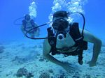 Hawaii Scuba divng 16