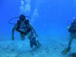 Hawaii Scuba divng 17