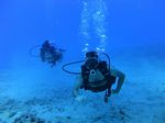 Hawaii Scuba divng 21