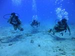 Hawaii Scuba divng 22