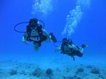 Hawaii Scuba divng 23