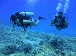 Hawaii Scuba divng 24