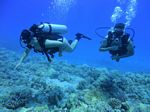 Hawaii Scuba divng 24